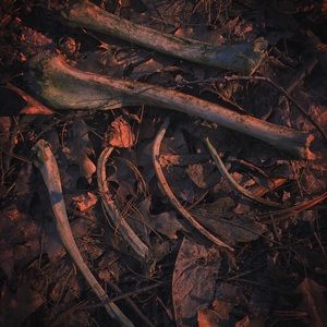 Meet your Posher, Randall